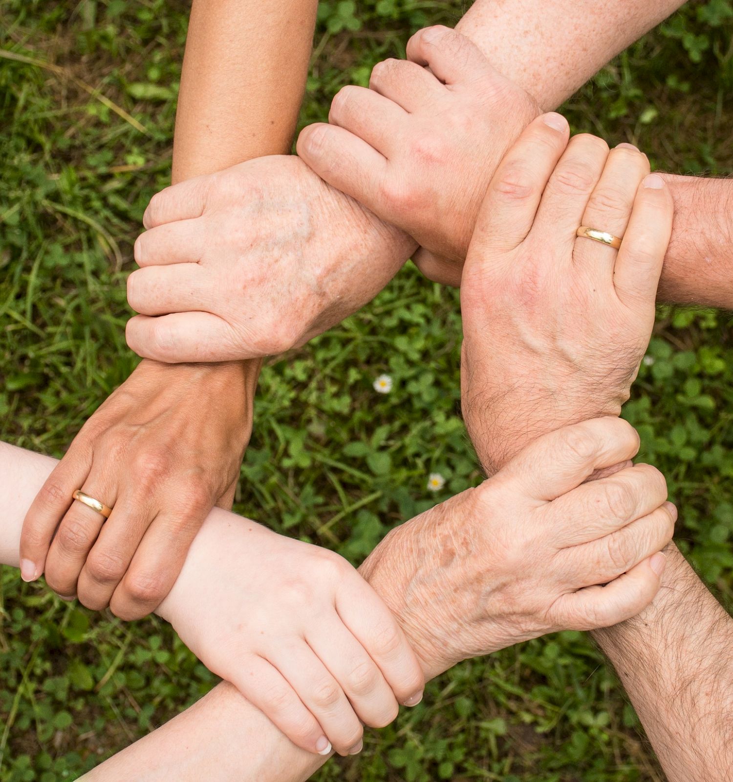 People of different skin tones forming a circle by holding each other's wrists, symbolizing unity and teamwork, with a grassy background.