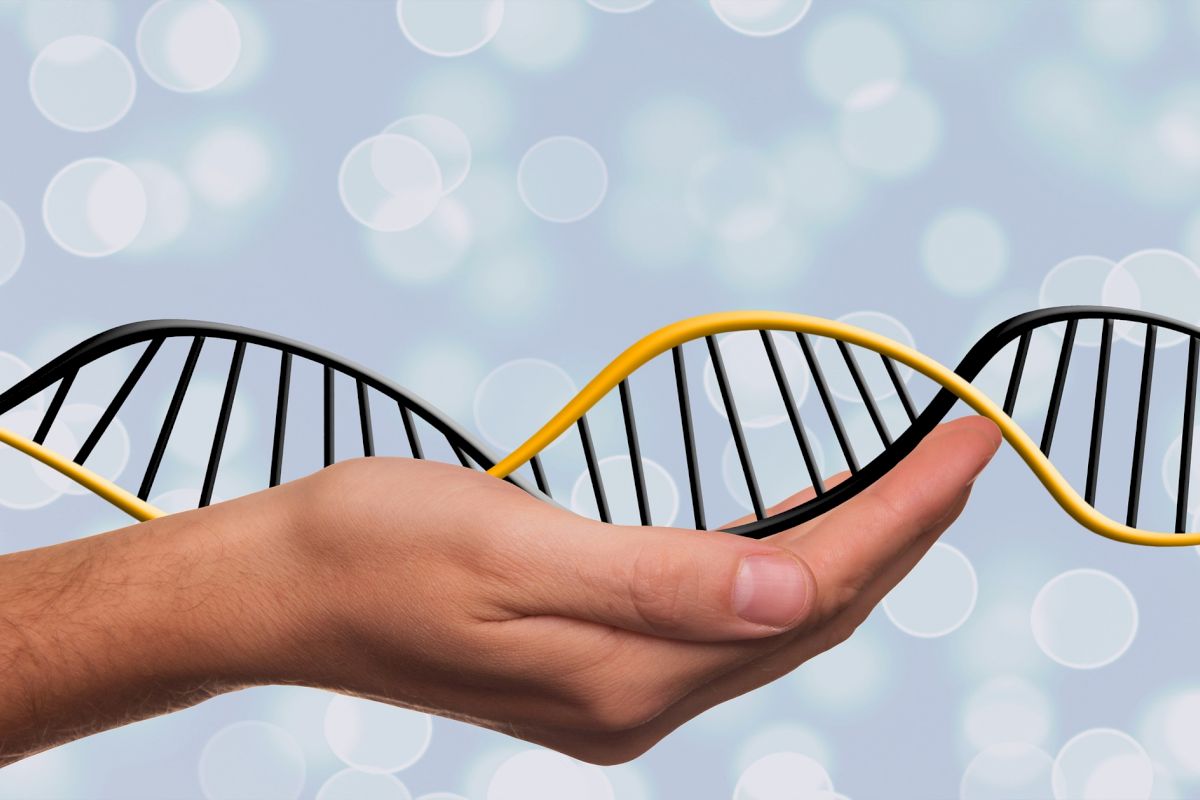 A hand is holding a model of a DNA double helix against a blurred background with circular light spots.