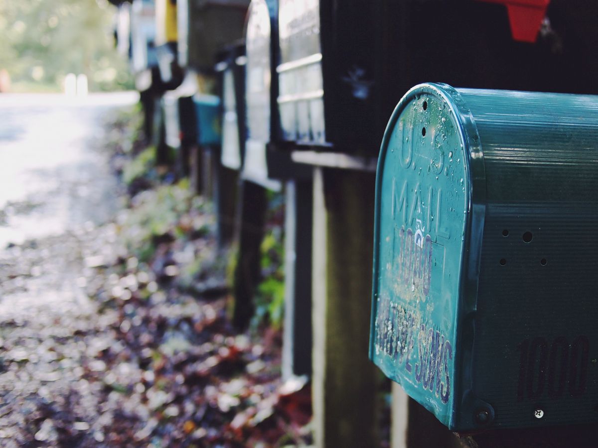 A row of mailboxes along the side of a rural road, with the nearest one in focus and the background blurred, surrounded by foliage on the ground.