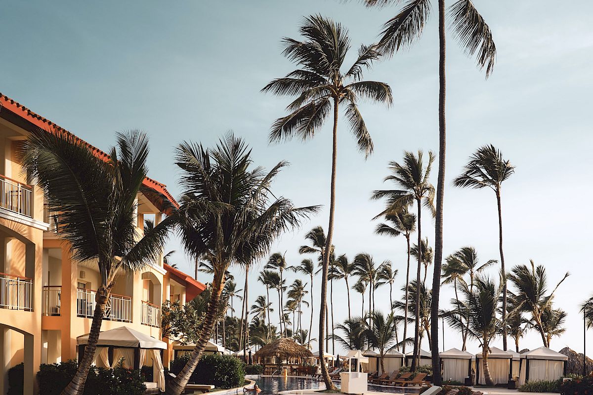 The image shows a luxurious poolside area at a tropical resort with palm trees, lounge chairs, and a clear blue sky in the background.